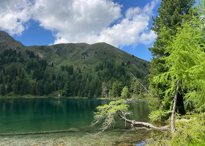 度假居 Bergchalet K2 上陶恩